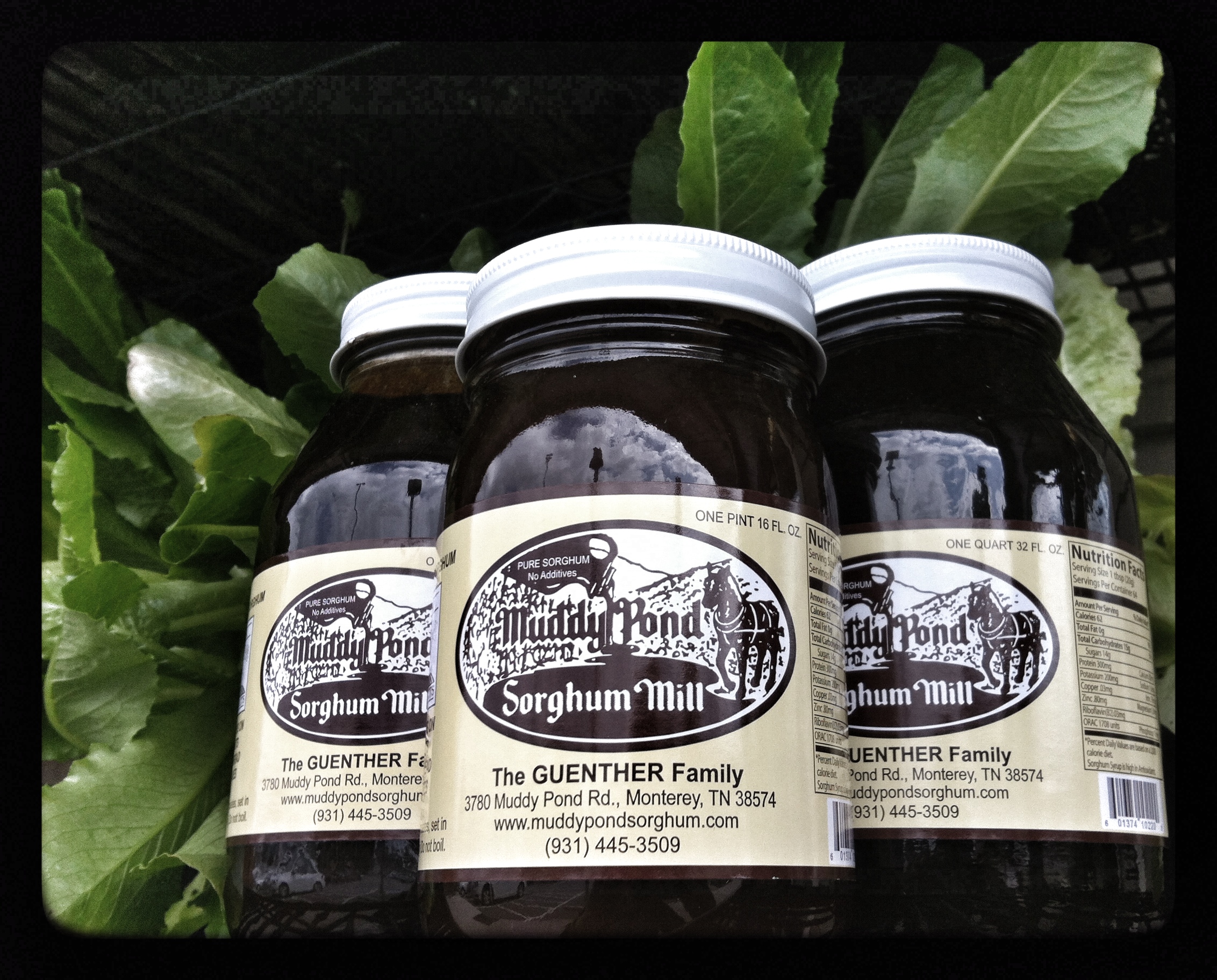 Muddy Pond Sorghum Syrup | Three Rivers Market