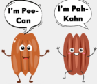 Is It PEE-can or puh-CAHN? The Debate Over the Correct Pronunciation