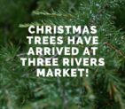 Christmas Trees Available at Three Rivers