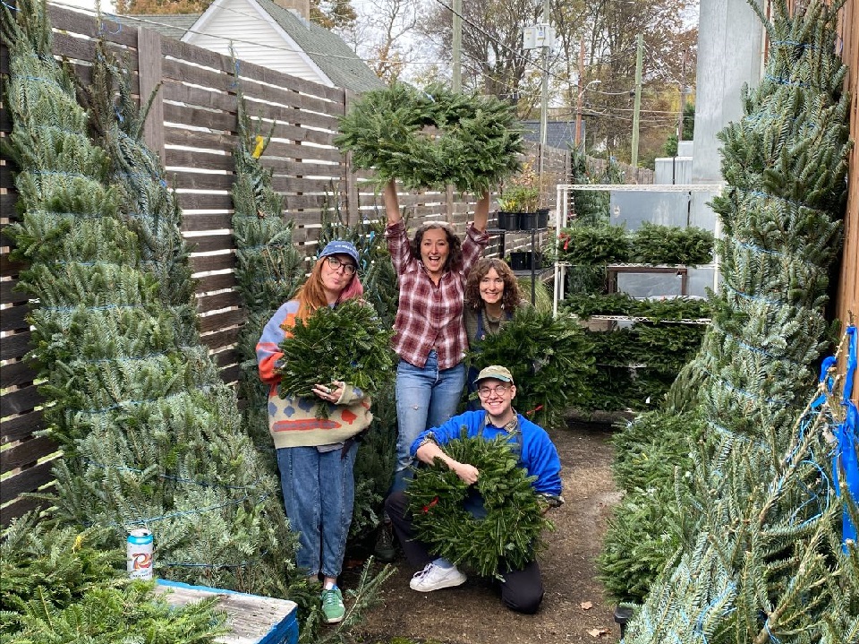 Christmas Trees Available Now!