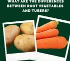 The Power of Root Vegetables & Tubers: A Winter Staple